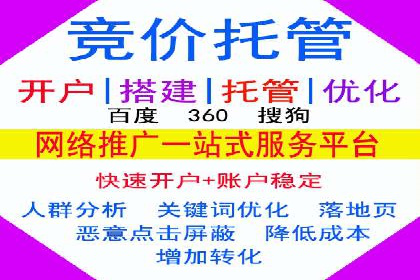 SEM推广公司案例：打造高效营销体系